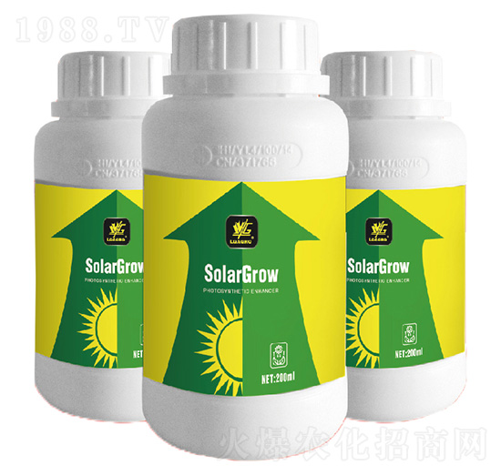 �������(qi��ng)��-�����_(d��)-�����_