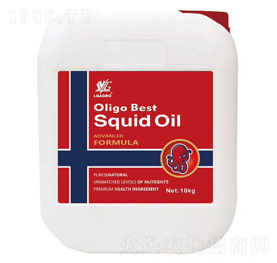 ī�~����-�P��Ԋ-�����_