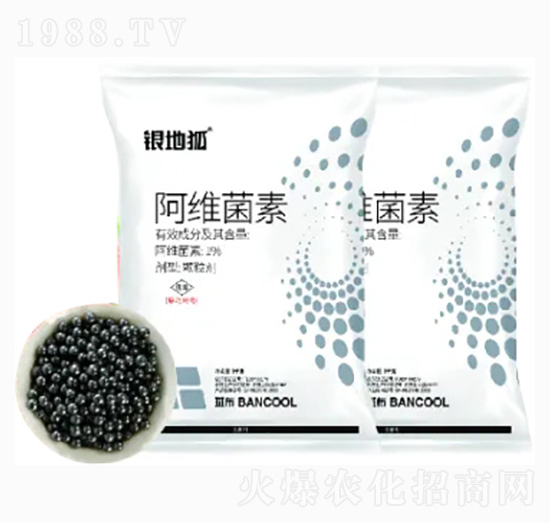 ���S����ˎ��-�y�غ�-�߲�����