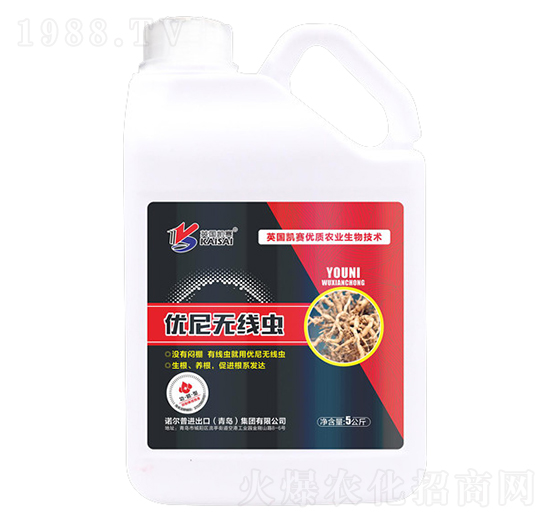 ��(y��u)��o(w��)���x(ch��ng)-�Z����