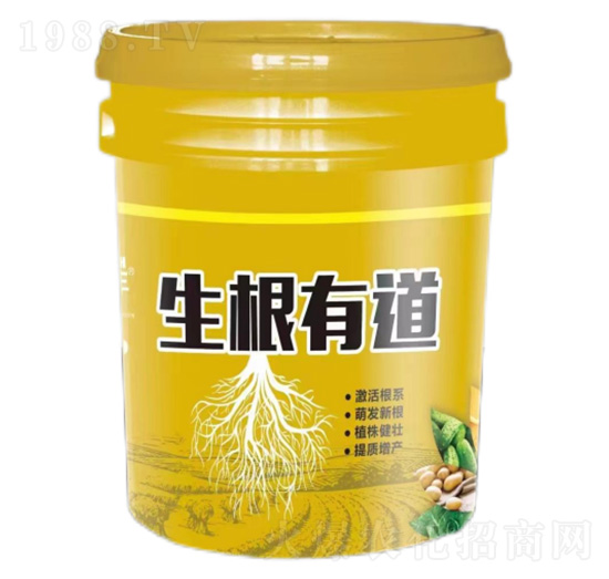 �����е�-�����S-�����_����