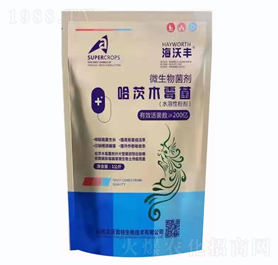 ����ľù����΢�������-�����S-�����_(d��)����