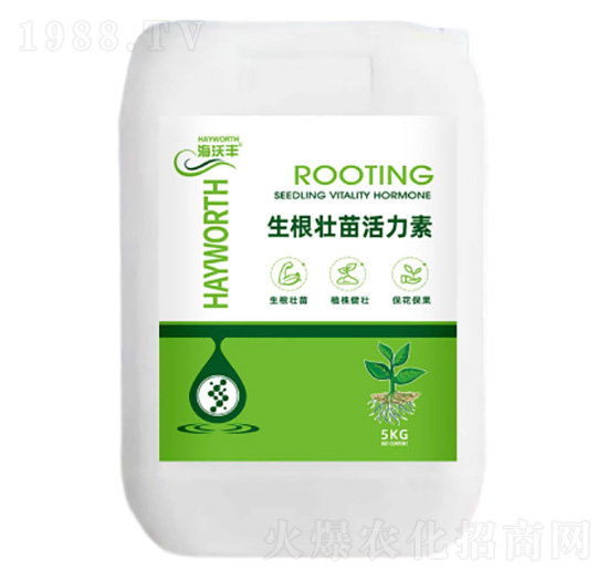 �������������-�����S-�����_����