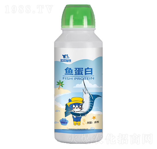 �~����-�{؈�ǻ�