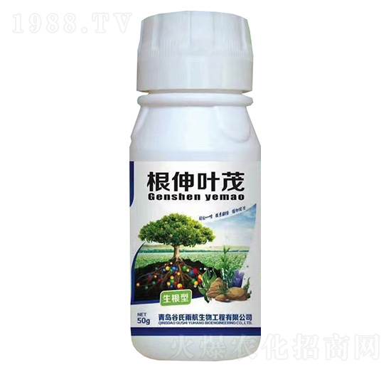 �����~ï-������-�����꺽