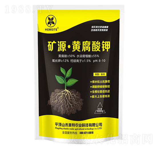 �VԴ���S�����-������