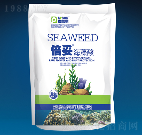 ���ס������ᣨ����-������