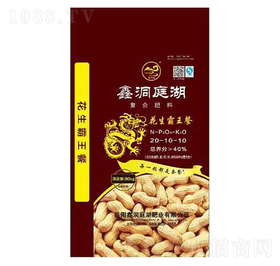 �ͺϷ���20-10-10-����������-�ζ�ͥ���ʘI(y��)