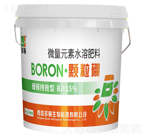 �w����-���P