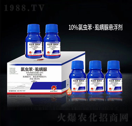 10%���x����ʭ����Ҹ���-���r��