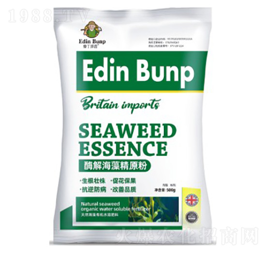 ø�⺣�徫ԭ��-�۶�����