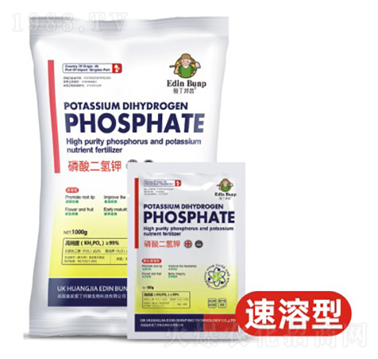 ��������-�۶�����