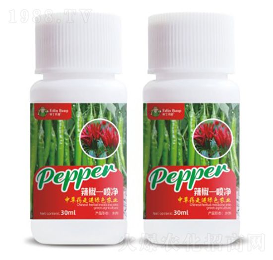 ����һ����-�۶�����