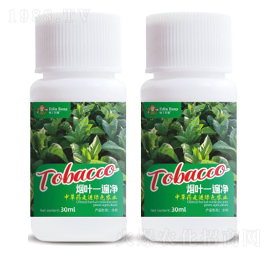 ���~һ���-�۶�����