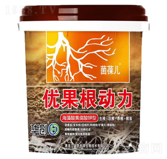 ��(y��u)��������-�A��(chu��ng)