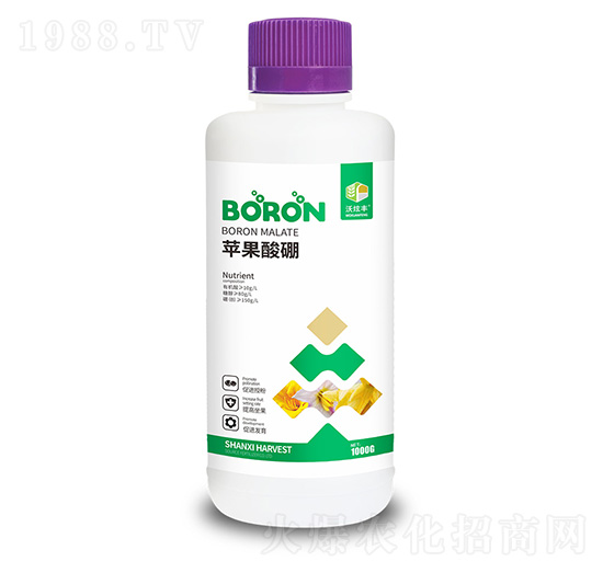 �O(p��ng)������-�����S-�ɿ����ʘI(y��)