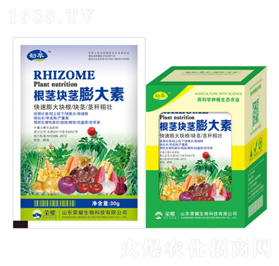 ���o�K�o�����-����-�sҫ�r(n��ng)�I(y��)