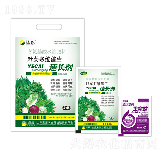 �~�˶�S�������L��-����-�sҫ�r(n��ng)�I(y��)