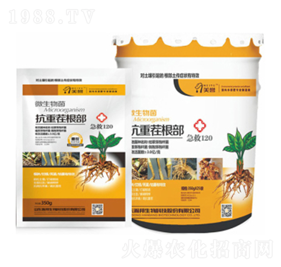 ���ز����-嫰�����