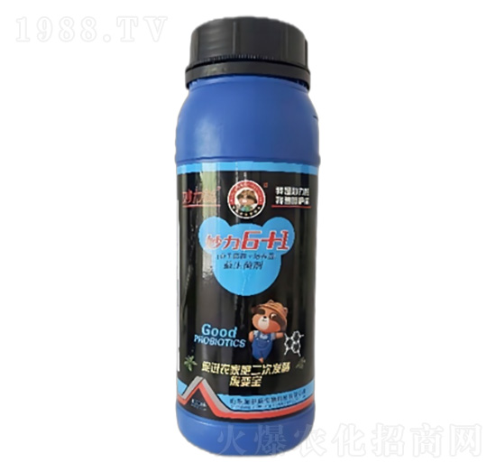 ������6+1EM�ͺ���������-ʩ����