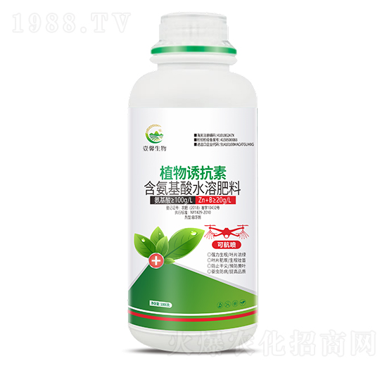 ֲ���T����-����������