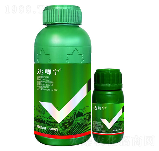 �_�䌎-������