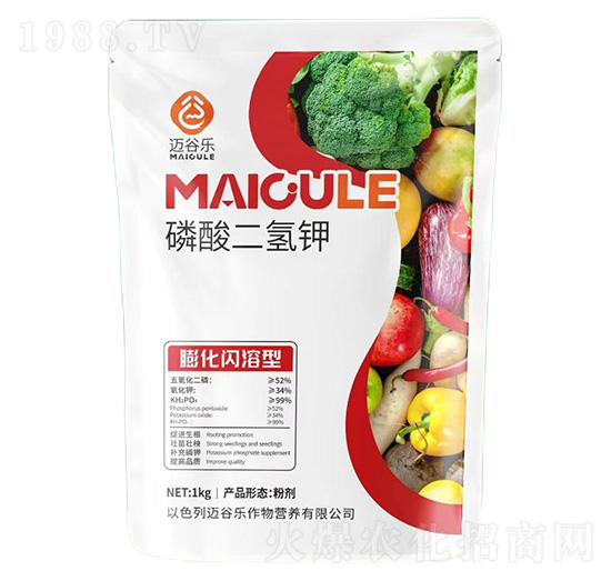 ���W������������-�~�Ș�(l��)