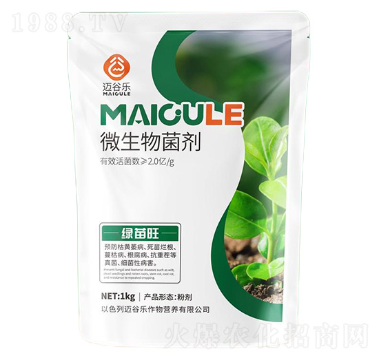 �G����΢�������-�~�Ș�