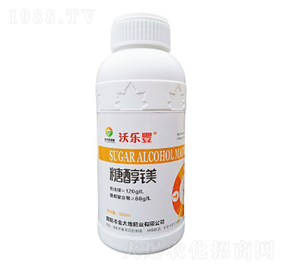 �Ǵ��V-�֘�(l��)�S-���طʘI(y��)