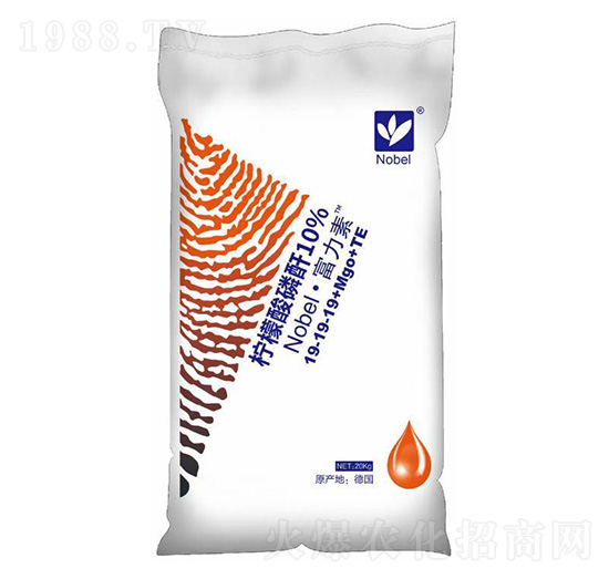 ������19-19-19+Mgo+TE-�Zؐ��