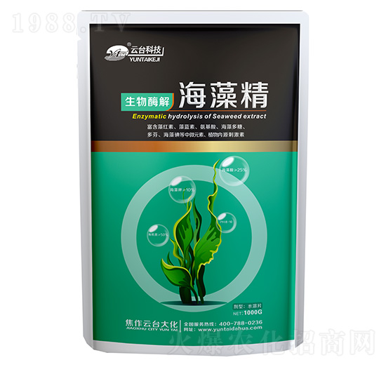 ���徫-���_(t��i)��