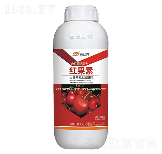 ɫ�t���T��(d��o)��-�t����-���_��