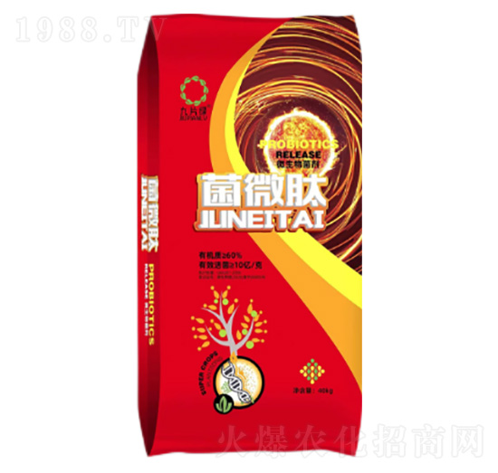 10�|΢�������-��΢��-���r(n��ng)�S�ʘI(y��)