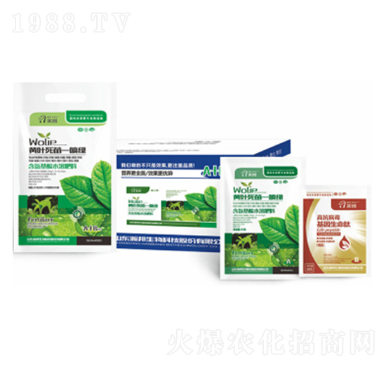 �S�~����һ���G-嫰�����