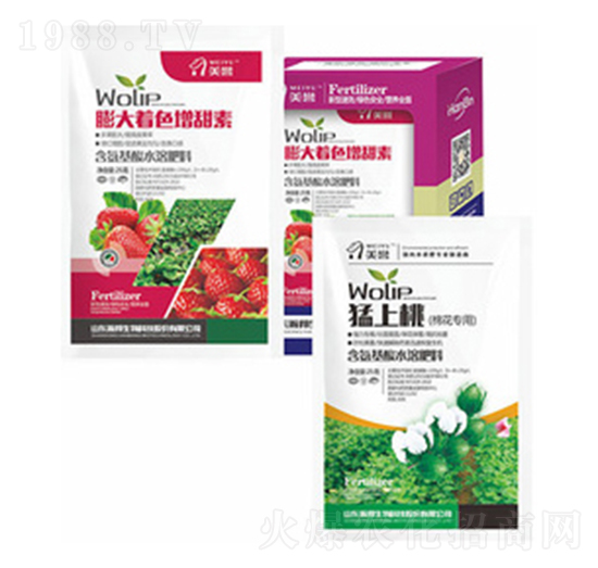 ������-嫰�����