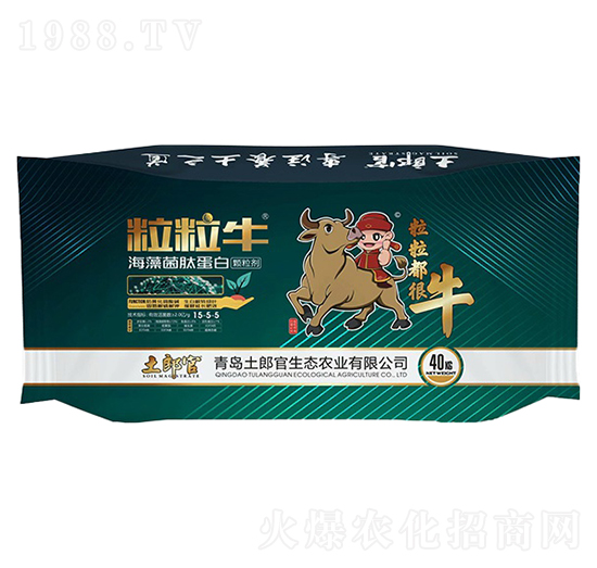 ��������������ĵ���-���ɹ�