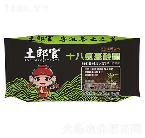 ʮ�˰����ᣨ�����B(y��ng)�o(h��)�ͣ�-���ɹ�