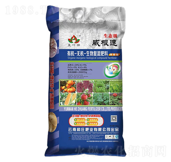 �ЙC-�o�C�����(f��)�����11-5-4-������-���f�ʘI(y��)