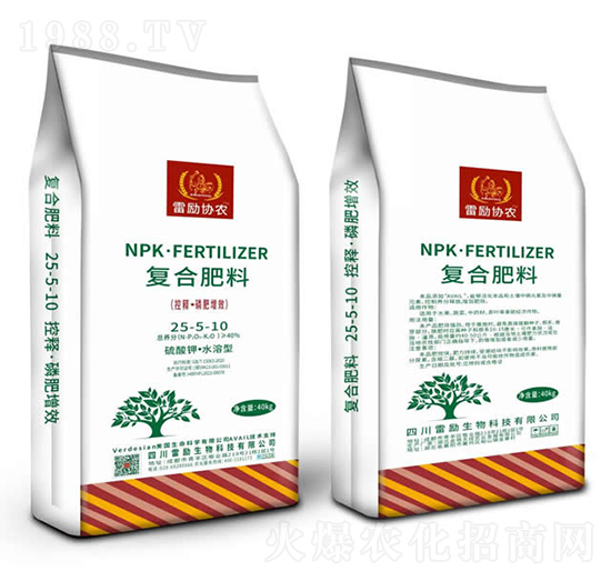 ������L�͏ͺϷ���25-5-10-�ׄ�����