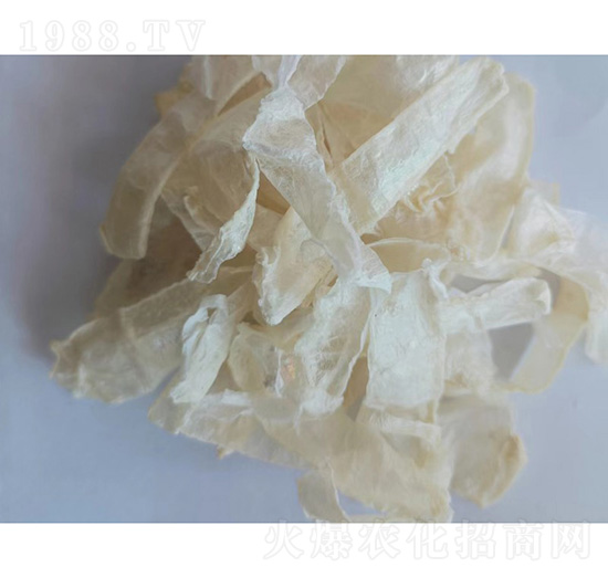 ����˹��ѩз������-�ɝ�����