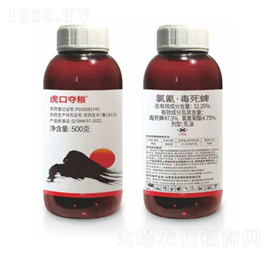 52.25%���衤����������-���ڊZ�Z-�|�h����