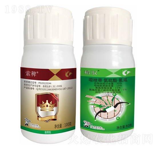 ���޽M��-����¡����