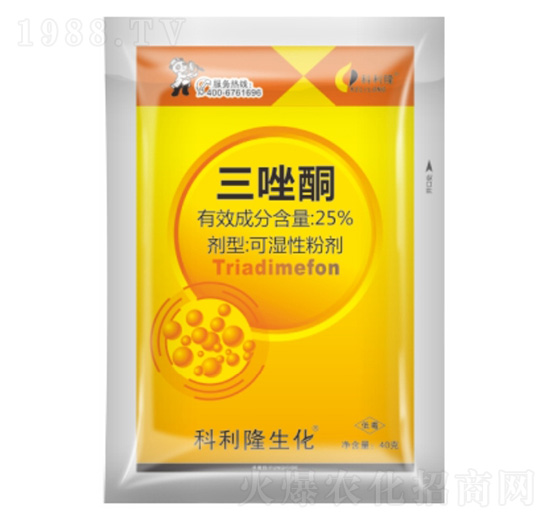 25%����ͪ-����¡����