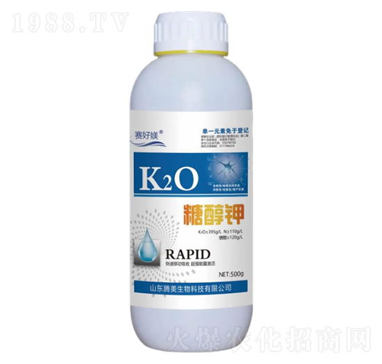 �Ǵ��-�v������