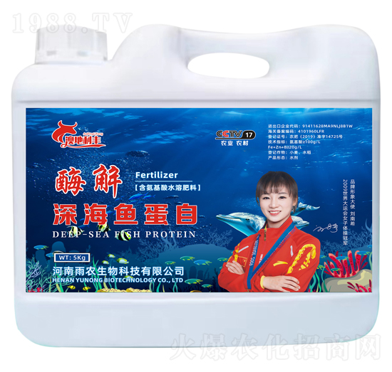 ø����~����-�ĵ����S-���r����