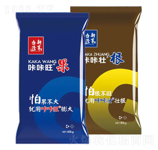 ΢�������-����