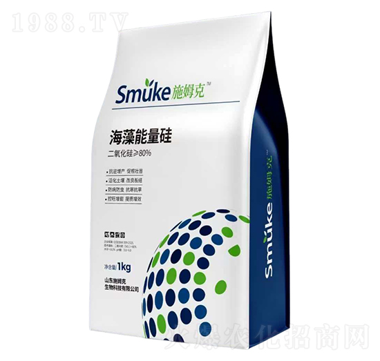 ����������-ʩķ��