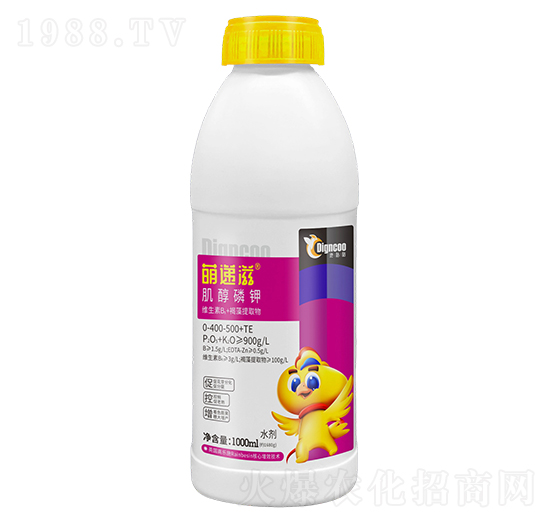 �������-���f��-�ع�������