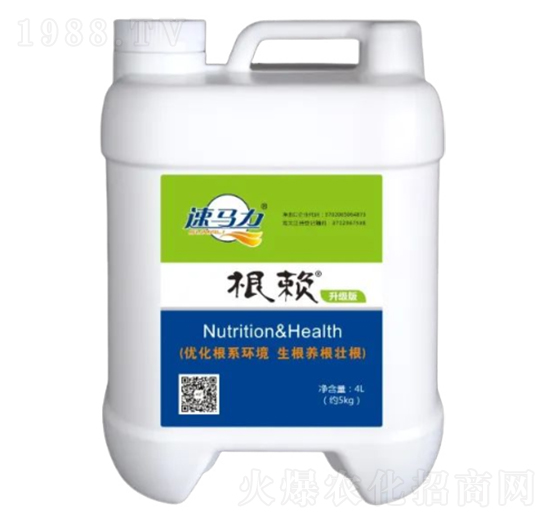 4L��ه(l��i)-�а����r(n��ng)