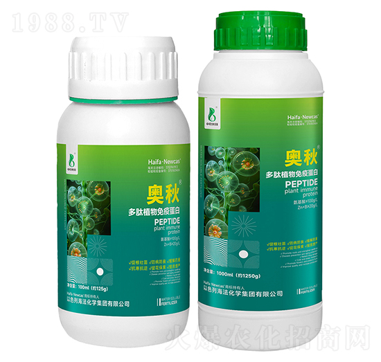 ����ֲ�����ߵ���-�W��-���r�W��